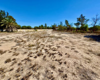 Reventa - Finca / Propiedad de Campo - Los Montesinos