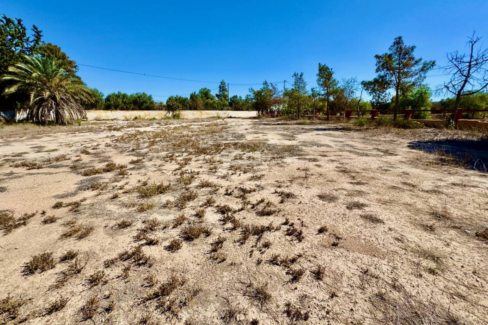 Reventa - Finca / Propiedad de Campo - Los Montesinos