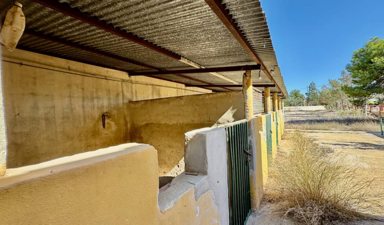 Reventa - Finca / Propiedad de Campo - Los Montesinos