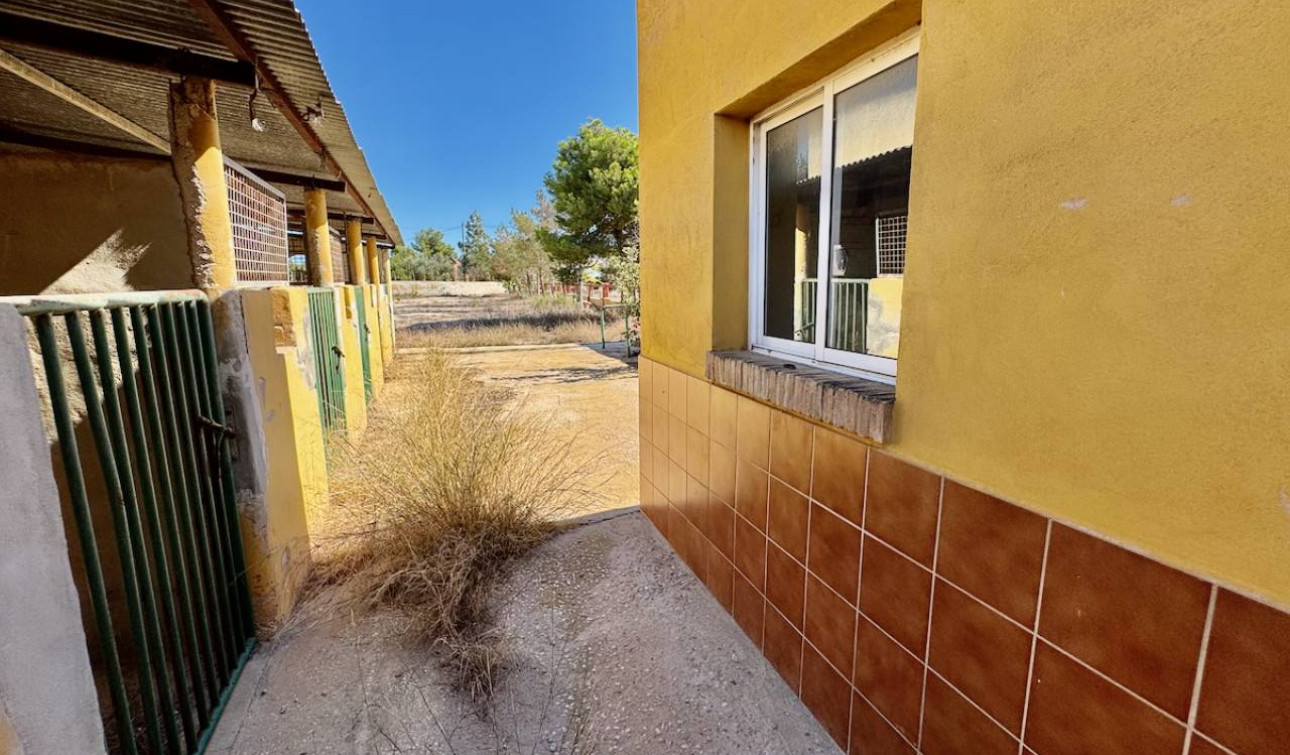 Reventa - Finca / Propiedad de Campo - Los Montesinos