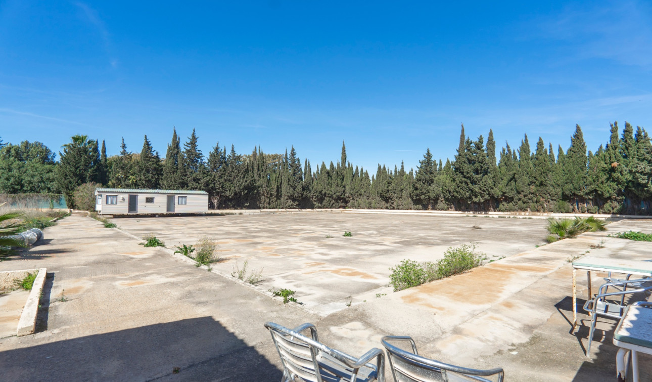 Reventa - Finca / Propiedad de Campo - Los Montesinos