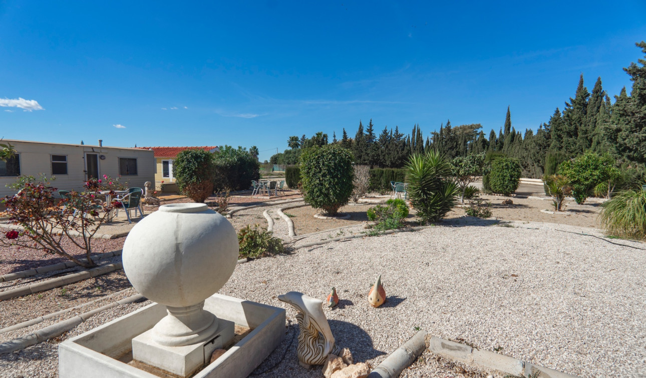 Reventa - Finca / Propiedad de Campo - Los Montesinos