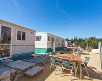 Reventa - Finca / Propiedad de Campo - Los Montesinos