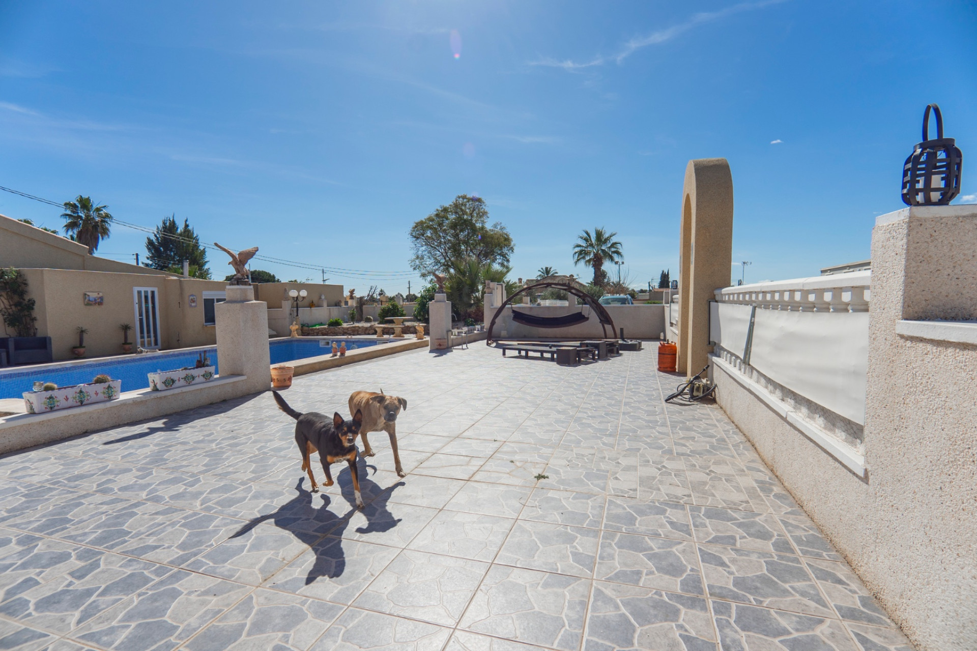 Reventa - Finca / Propiedad de Campo - Los Montesinos