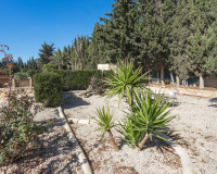 Reventa - Finca / Propiedad de Campo - Los Montesinos