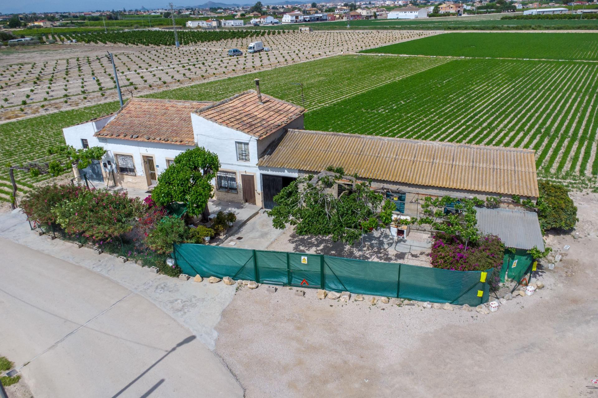 Reventa - Finca / Propiedad de Campo - Orihuela - Desamparados-Hurchillo-Torremendo