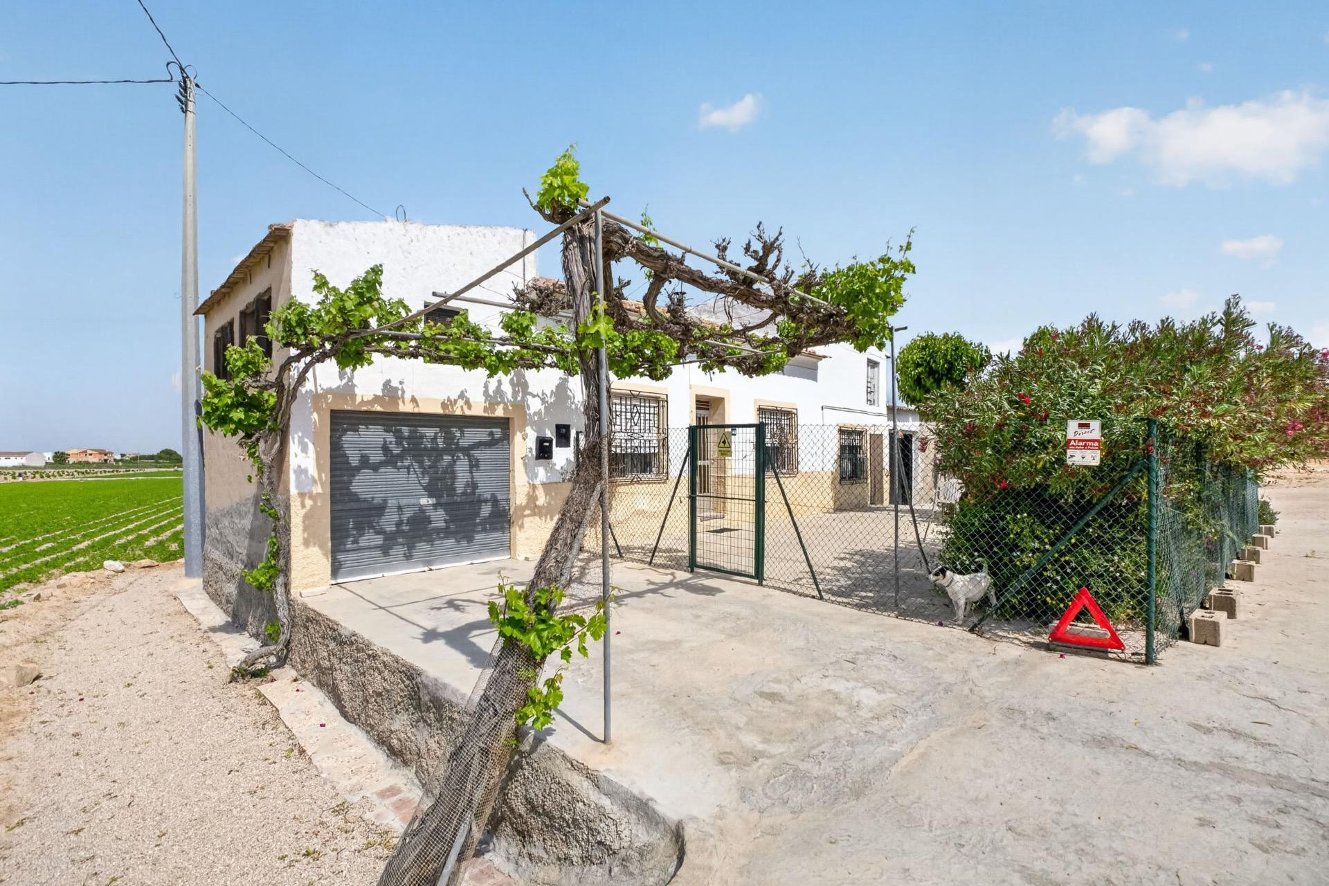 Reventa - Finca / Propiedad de Campo - Orihuela - Desamparados-Hurchillo-Torremendo