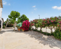 Reventa - Finca / Propiedad de Campo - Orihuela - Desamparados-Hurchillo-Torremendo