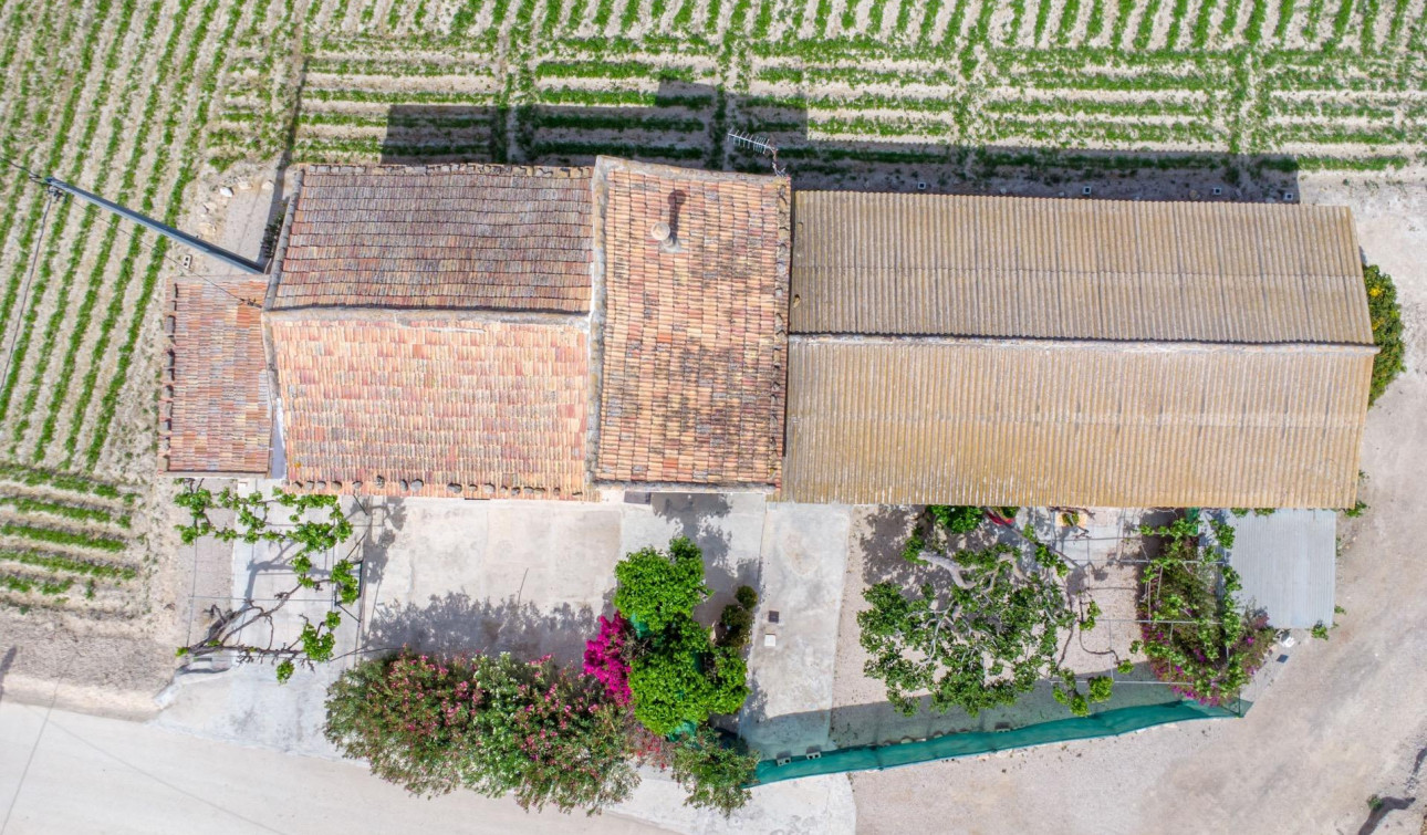 Reventa - Finca / Propiedad de Campo - Orihuela - Desamparados-Hurchillo-Torremendo
