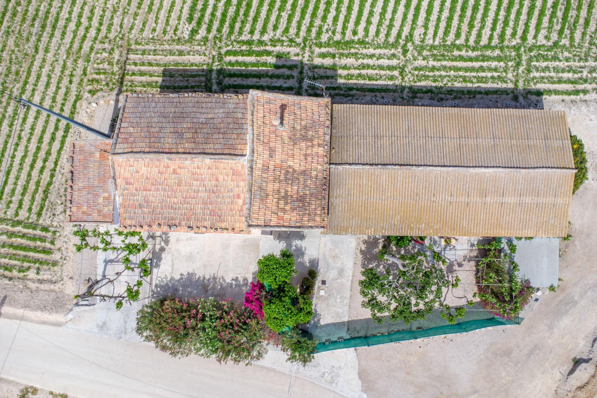 Reventa - Finca / Propiedad de Campo - Orihuela - Desamparados-Hurchillo-Torremendo