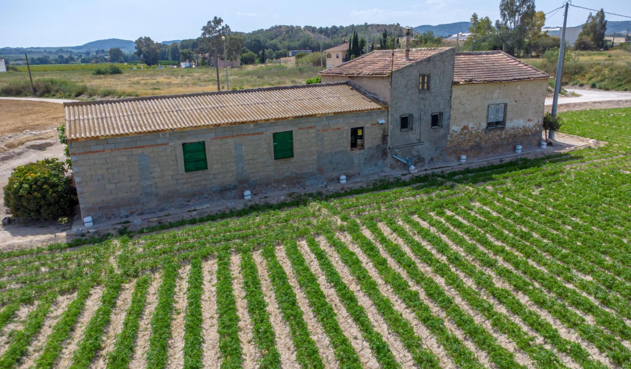 Reventa - Finca / Propiedad de Campo - Orihuela - Desamparados-Hurchillo-Torremendo