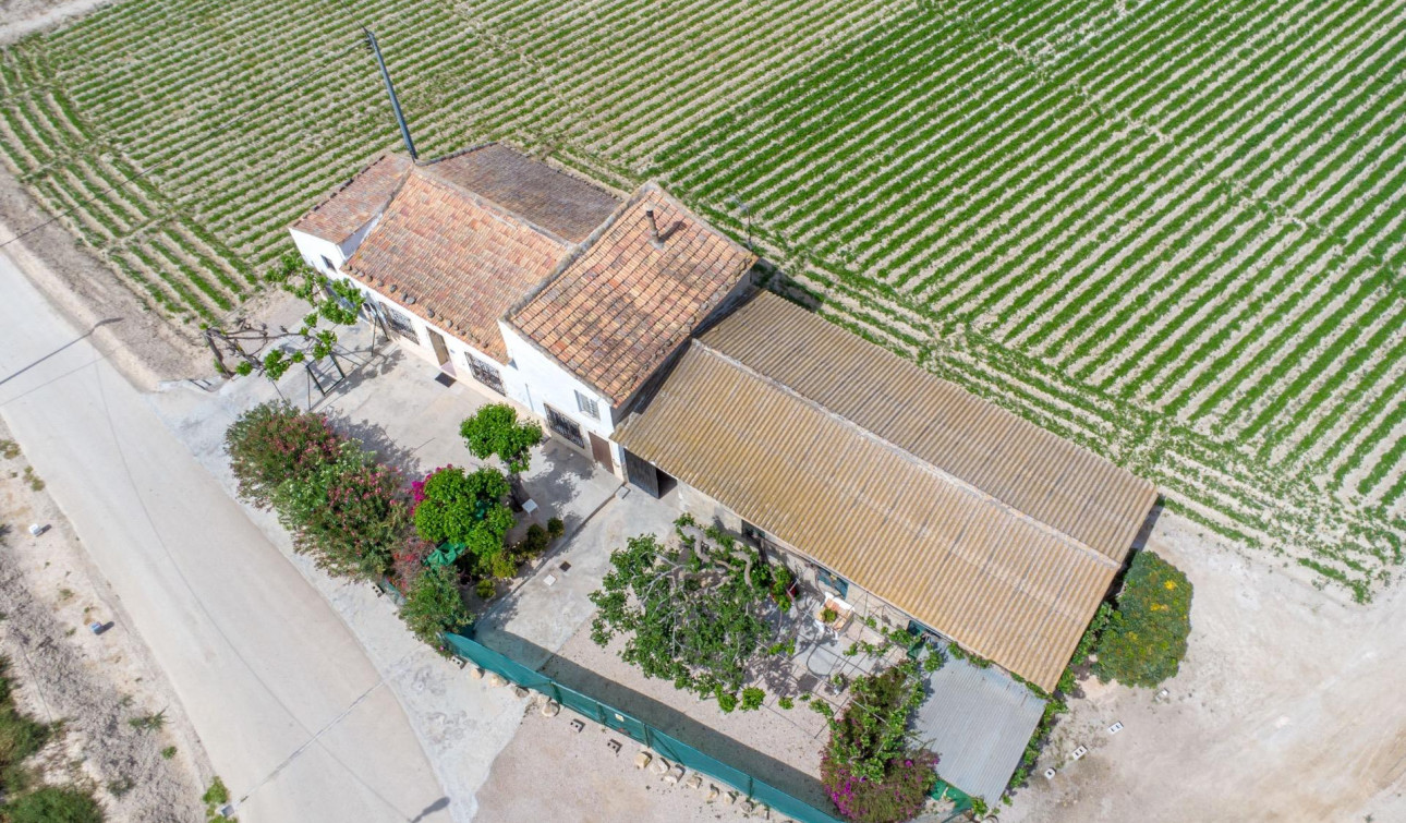 Reventa - Finca / Propiedad de Campo - Orihuela - Desamparados-Hurchillo-Torremendo
