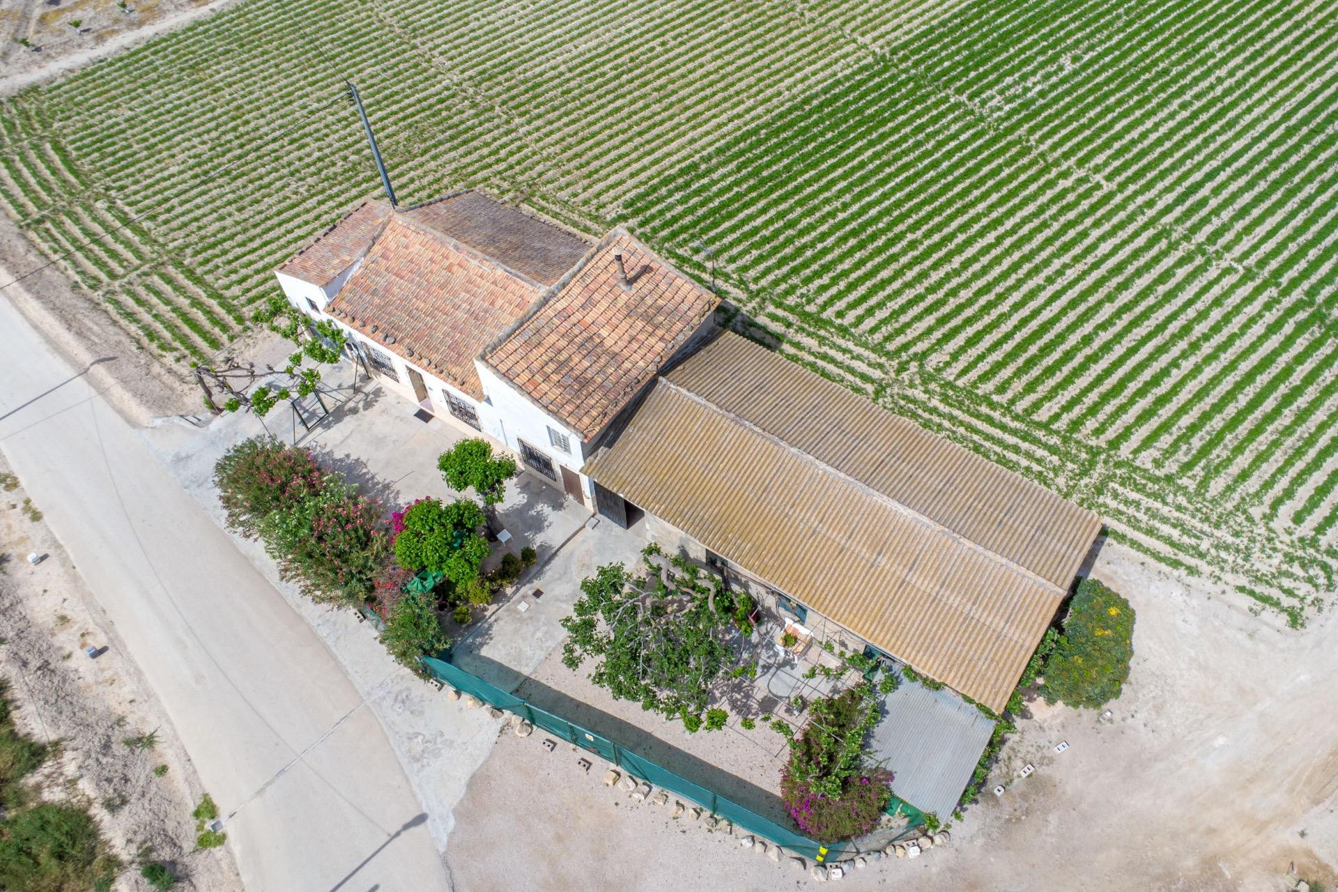 Reventa - Finca / Propiedad de Campo - Orihuela - Desamparados-Hurchillo-Torremendo