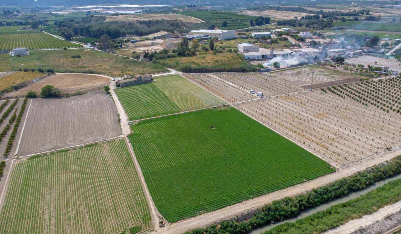 Reventa - Finca / Propiedad de Campo - Orihuela - Desamparados-Hurchillo-Torremendo