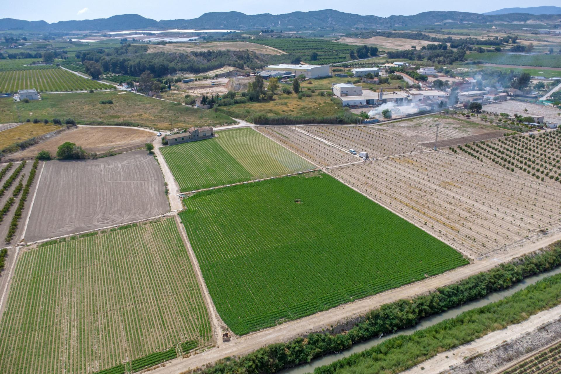 Reventa - Finca / Propiedad de Campo - Orihuela - Desamparados-Hurchillo-Torremendo
