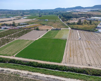Reventa - Finca / Propiedad de Campo - Orihuela - Desamparados-Hurchillo-Torremendo