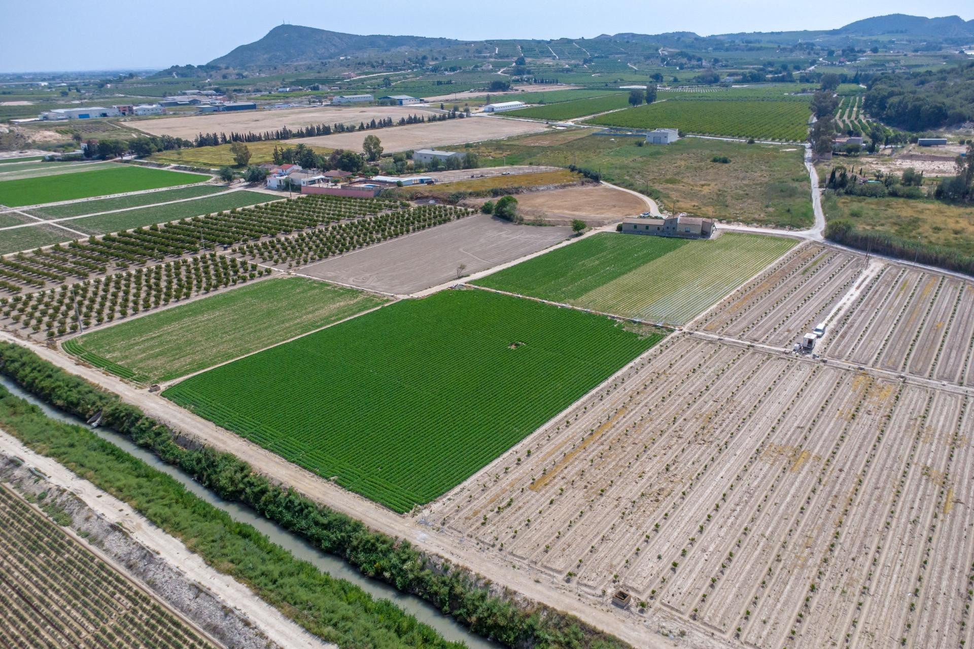 Reventa - Finca / Propiedad de Campo - Orihuela - Desamparados-Hurchillo-Torremendo