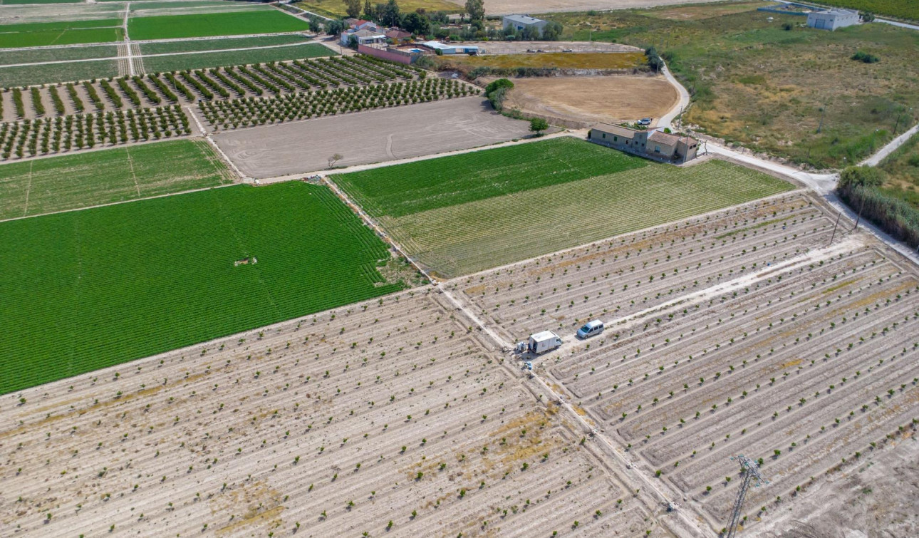 Reventa - Finca / Propiedad de Campo - Orihuela - Desamparados-Hurchillo-Torremendo