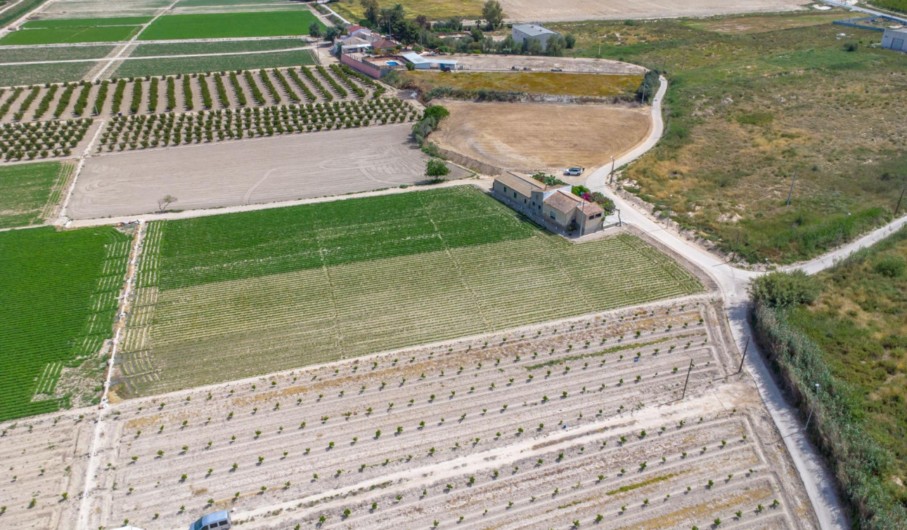 Reventa - Finca / Propiedad de Campo - Orihuela - Desamparados-Hurchillo-Torremendo
