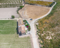 Reventa - Finca / Propiedad de Campo - Orihuela - Desamparados-Hurchillo-Torremendo