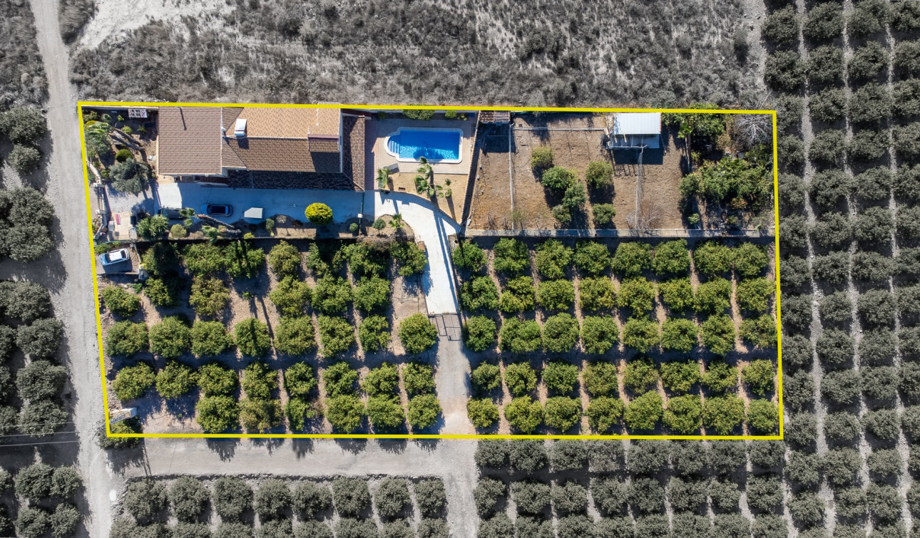 Reventa - Finca / Propiedad de Campo - Orihuela - La Matanza