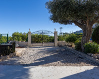 Reventa - Finca / Propiedad de Campo - Orihuela - La Matanza