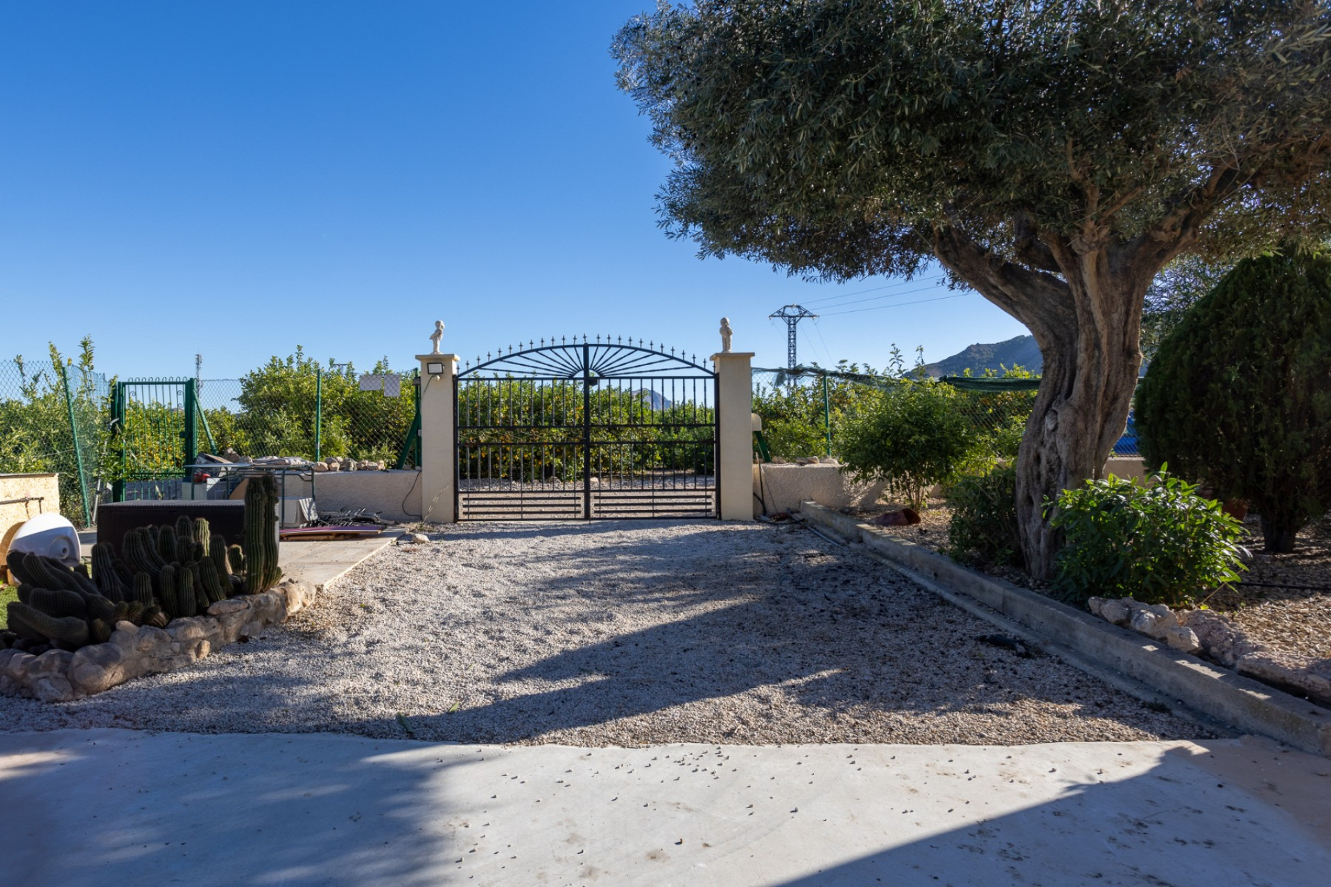 Reventa - Finca / Propiedad de Campo - Orihuela - La Matanza