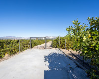 Reventa - Finca / Propiedad de Campo - Orihuela - La Matanza