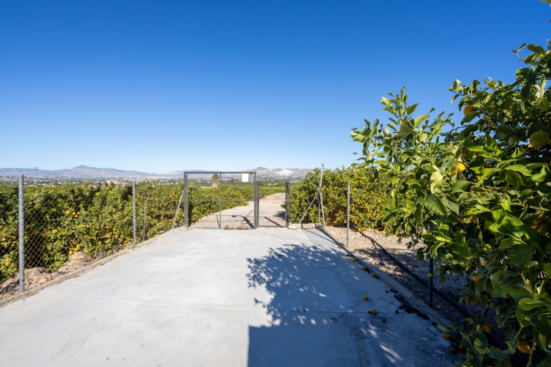 Reventa - Finca / Propiedad de Campo - Orihuela - La Matanza