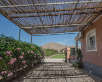 Reventa - Finca / Propiedad de Campo - Orihuela - San Bartolome