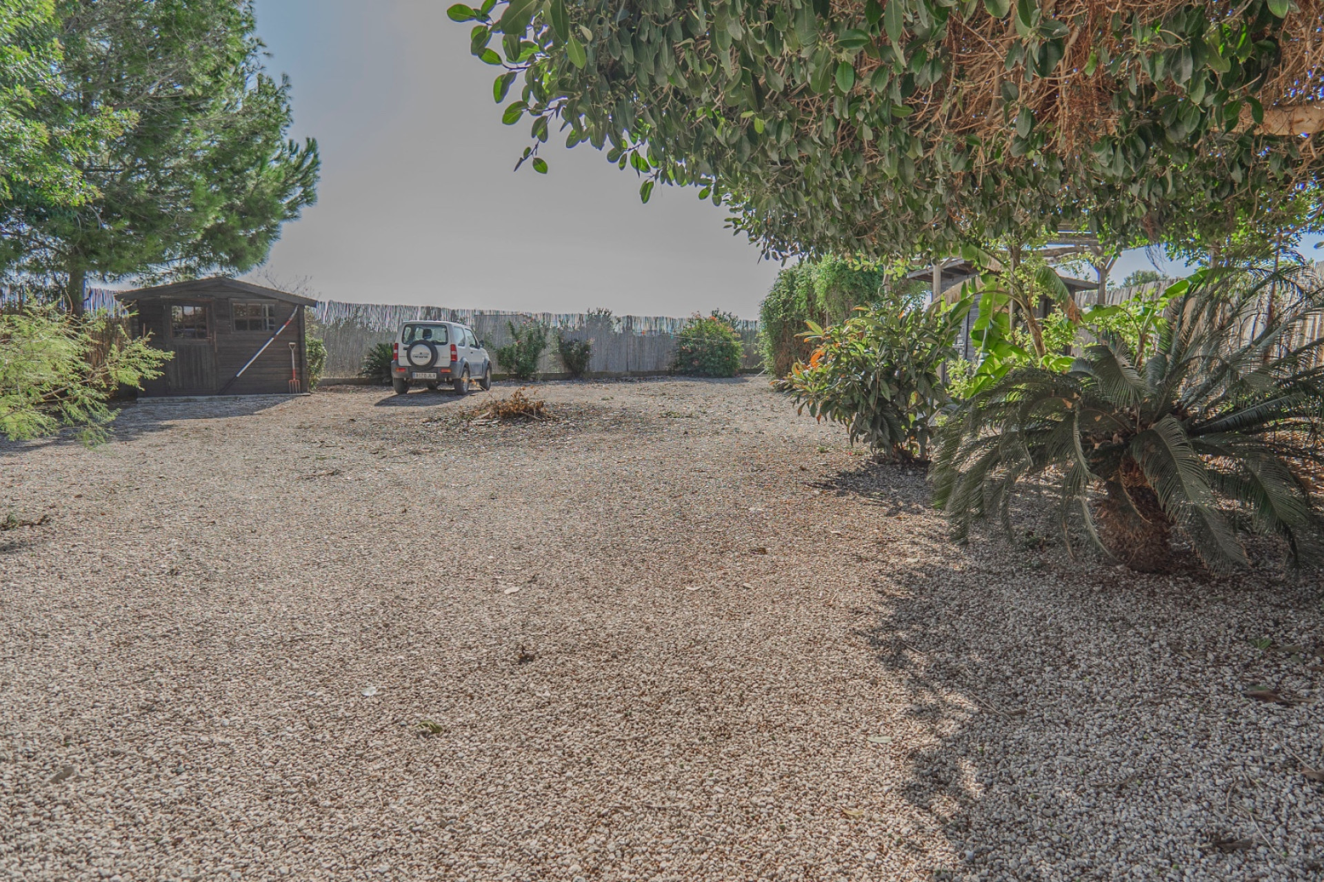 Reventa - Finca / Propiedad de Campo - Orihuela - San Bartolome