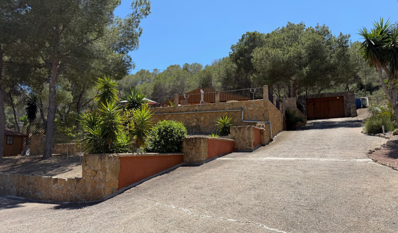 Reventa - Finca / Propiedad de Campo - Orihuela - Torremendo