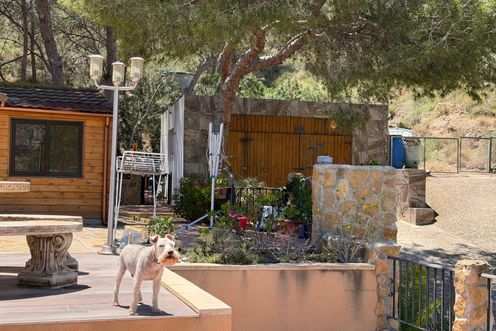 Reventa - Finca / Propiedad de Campo - Orihuela - Torremendo