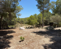 Reventa - Finca / Propiedad de Campo - Orihuela - Torremendo