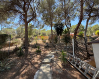 Reventa - Finca / Propiedad de Campo - Orihuela - Torremendo
