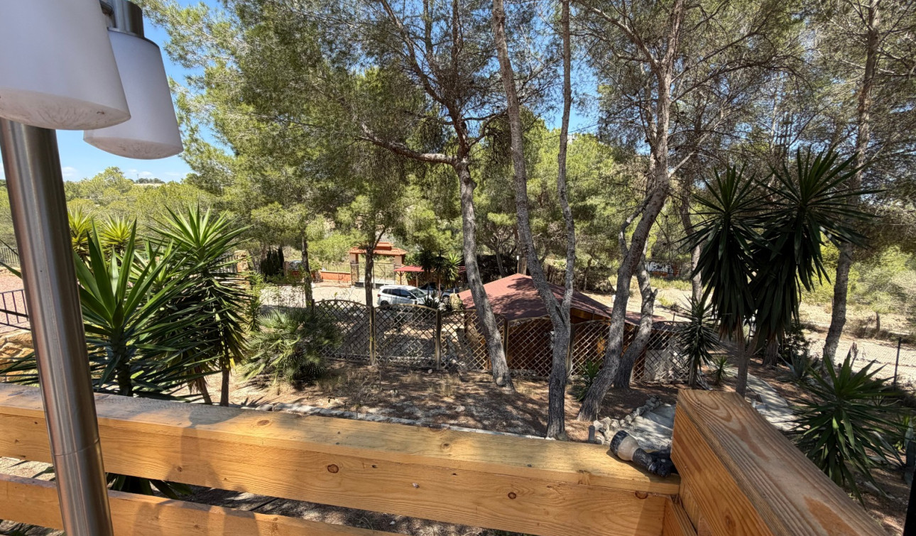 Reventa - Finca / Propiedad de Campo - Orihuela - Torremendo