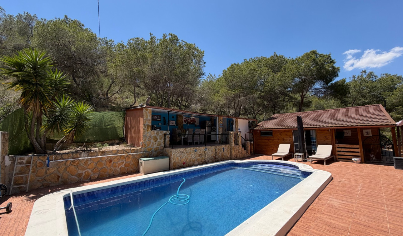 Reventa - Finca / Propiedad de Campo - Orihuela - Torremendo