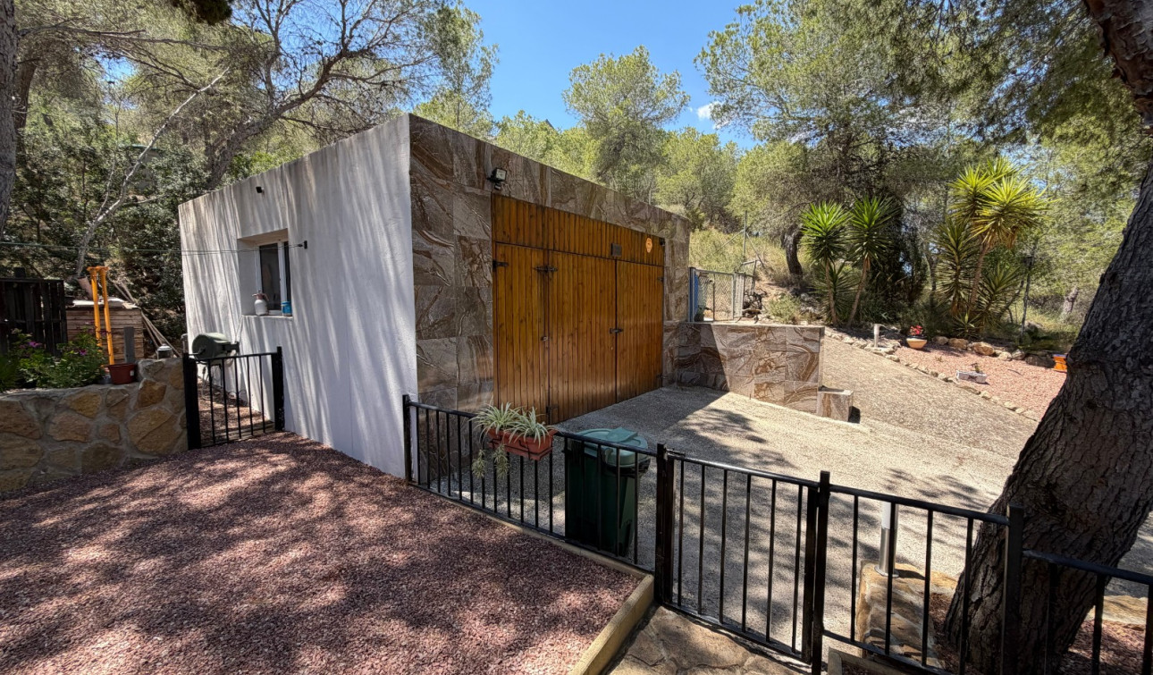 Reventa - Finca / Propiedad de Campo - Orihuela - Torremendo