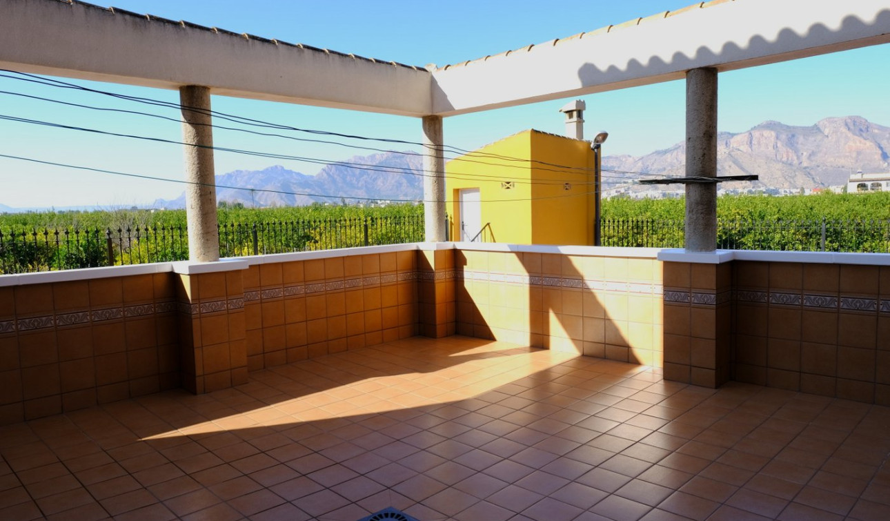 Reventa - Finca / Propiedad de Campo - Orihuela