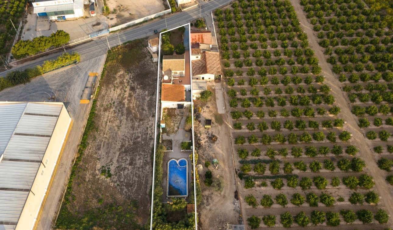 Reventa - Finca / Propiedad de Campo - Orihuela