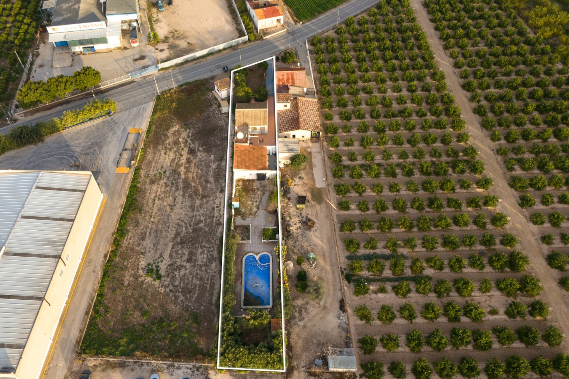 Reventa - Finca / Propiedad de Campo - Orihuela