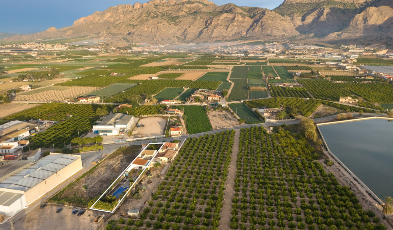 Reventa - Finca / Propiedad de Campo - Orihuela