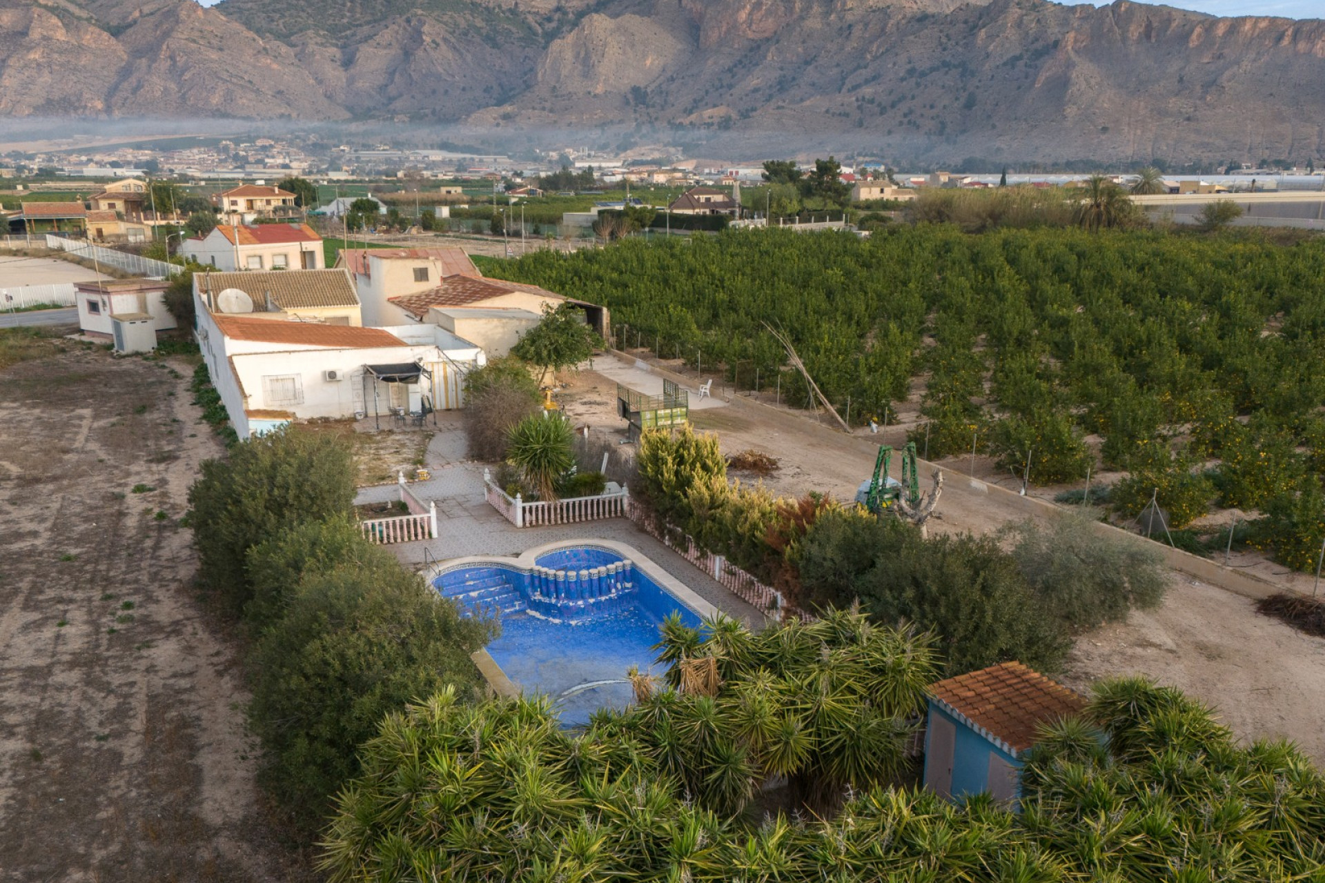 Reventa - Finca / Propiedad de Campo - Orihuela