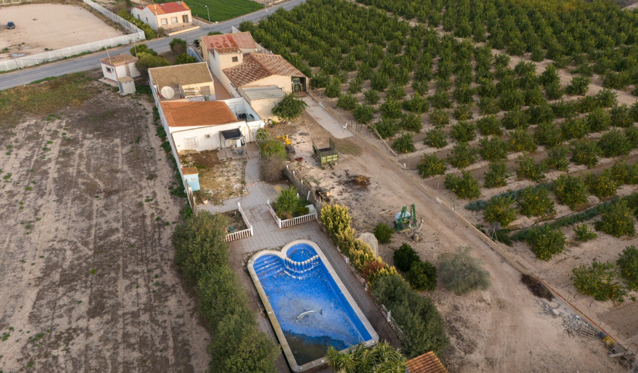 Reventa - Finca / Propiedad de Campo - Orihuela