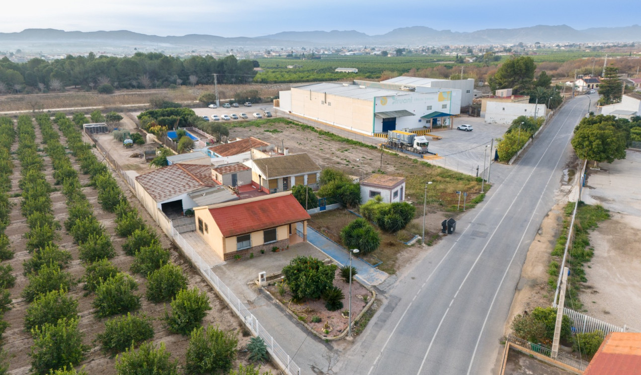 Reventa - Finca / Propiedad de Campo - Orihuela