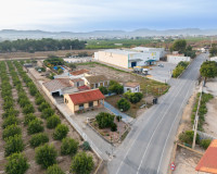 Reventa - Finca / Propiedad de Campo - Orihuela