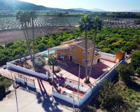 Reventa - Finca / Propiedad de Campo - Orihuela