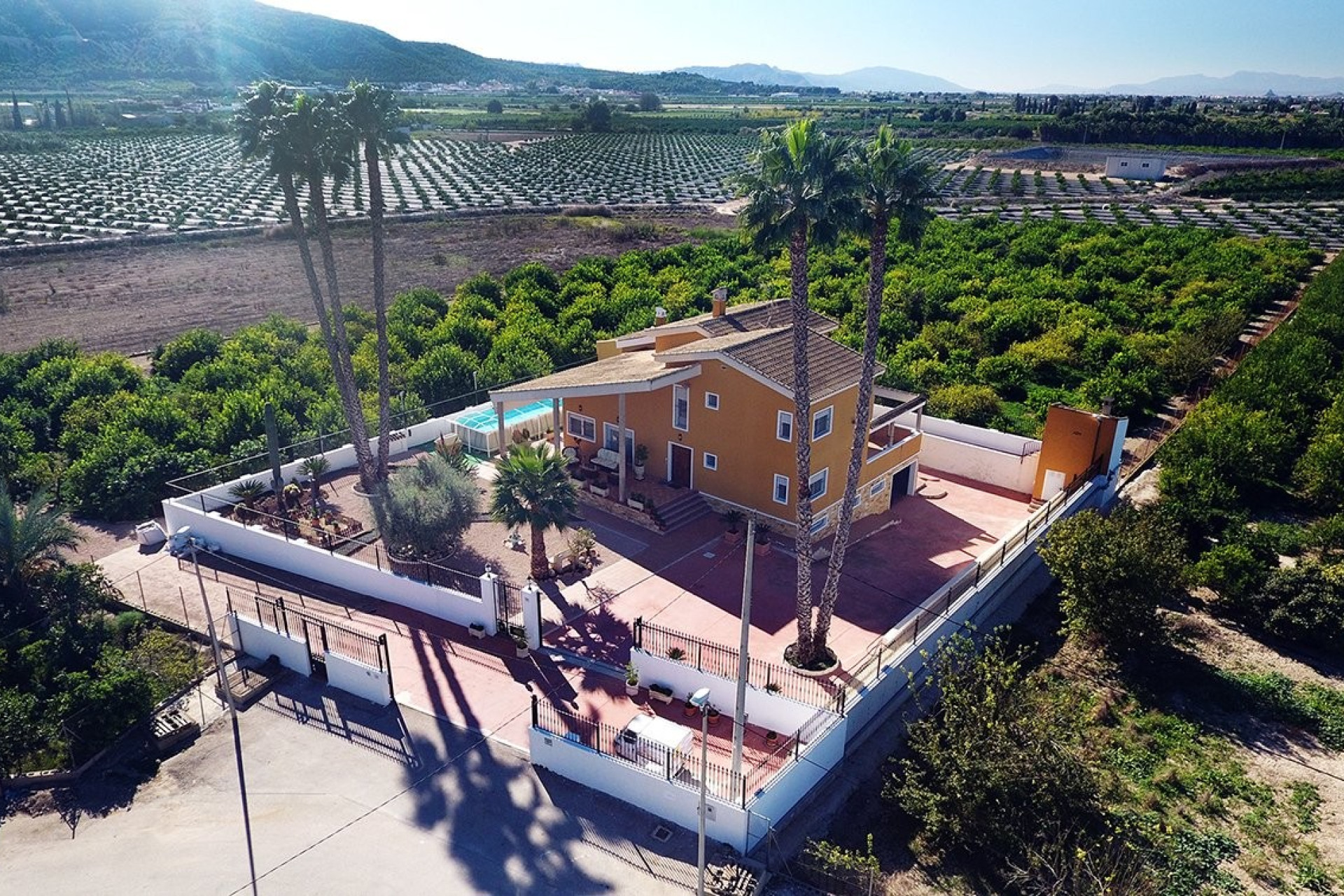 Reventa - Finca / Propiedad de Campo - Orihuela