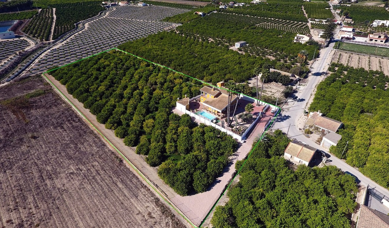 Reventa - Finca / Propiedad de Campo - Orihuela