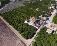 Reventa - Finca / Propiedad de Campo - Orihuela